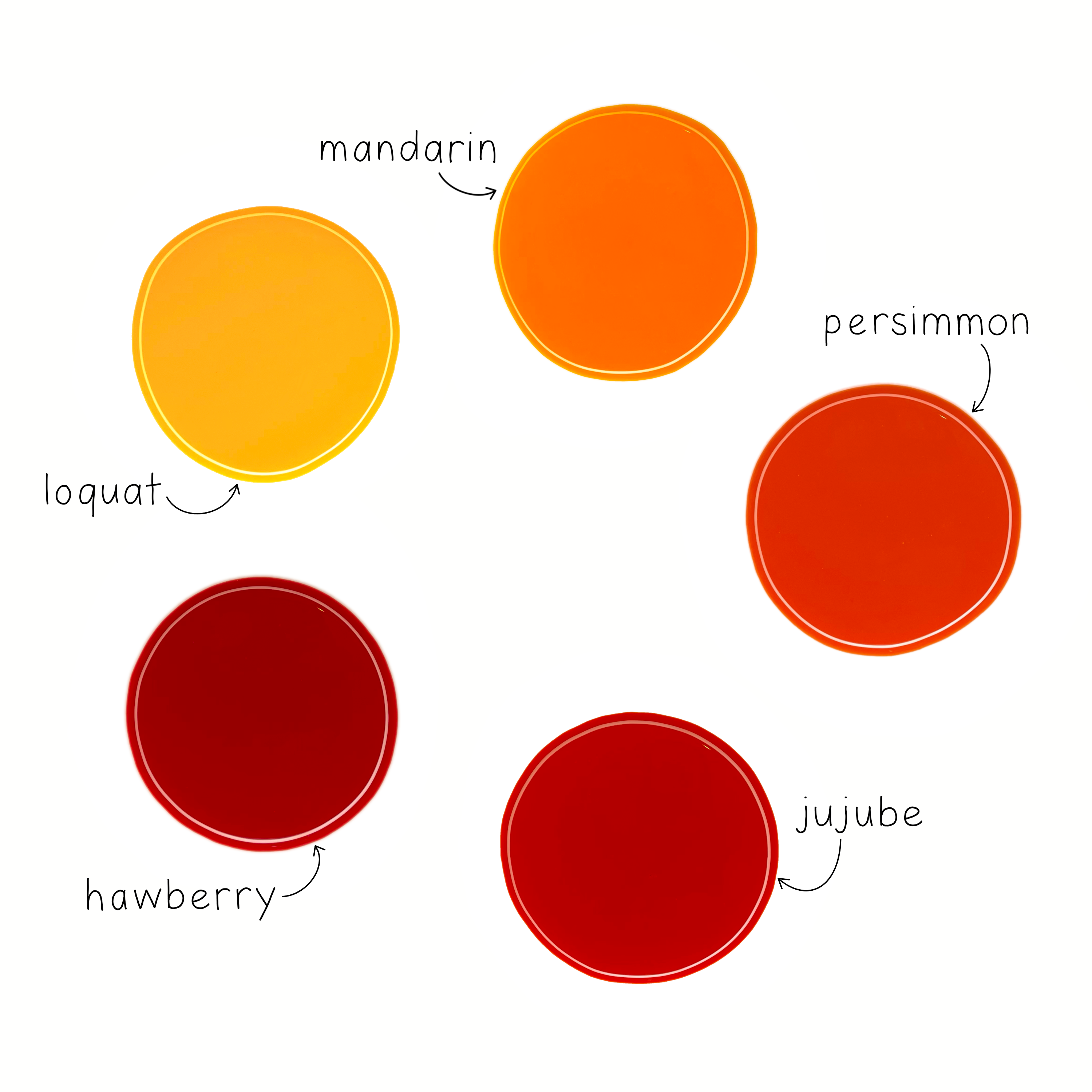 Tart Collection