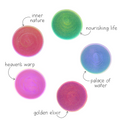 Transmutation collection