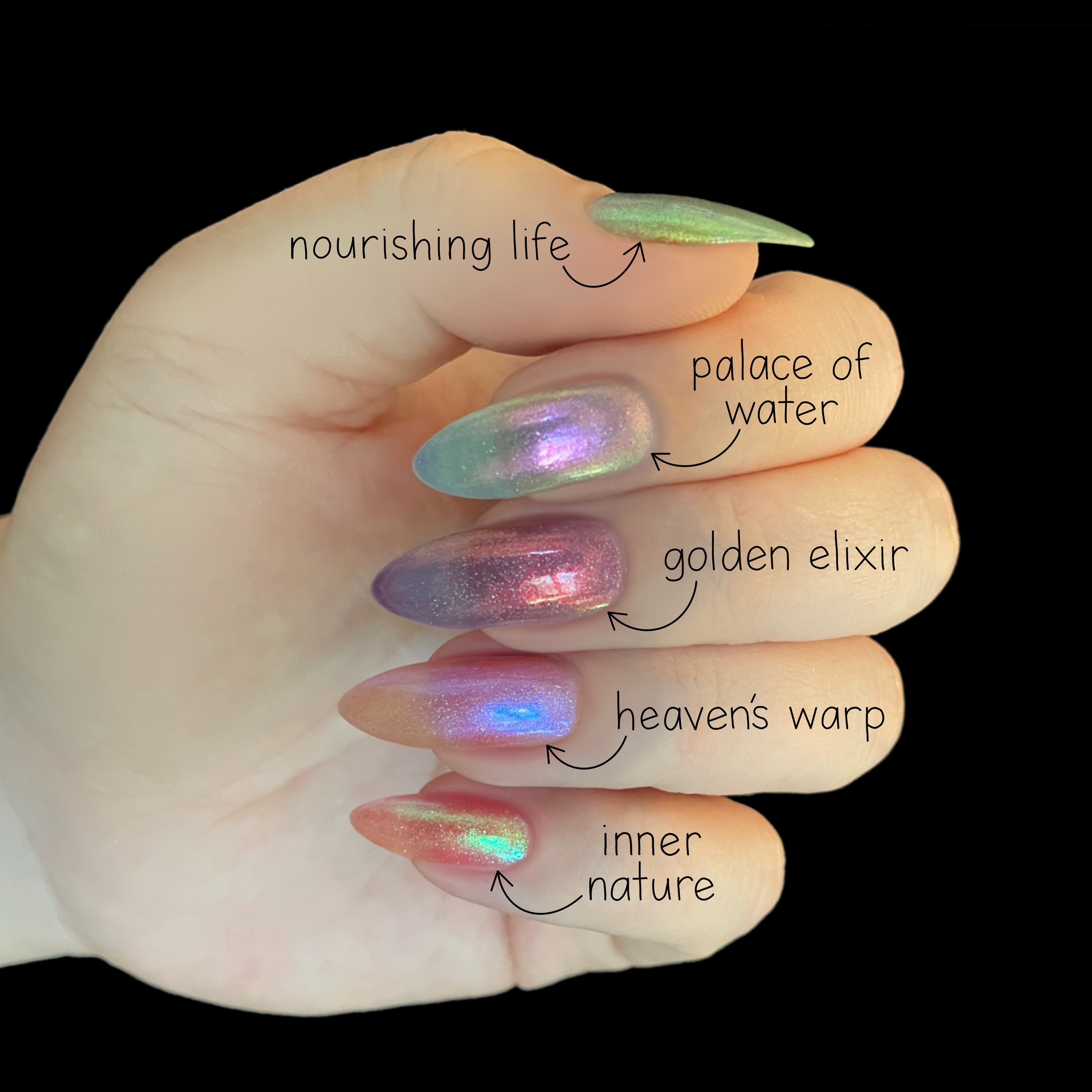 Transmutation collection